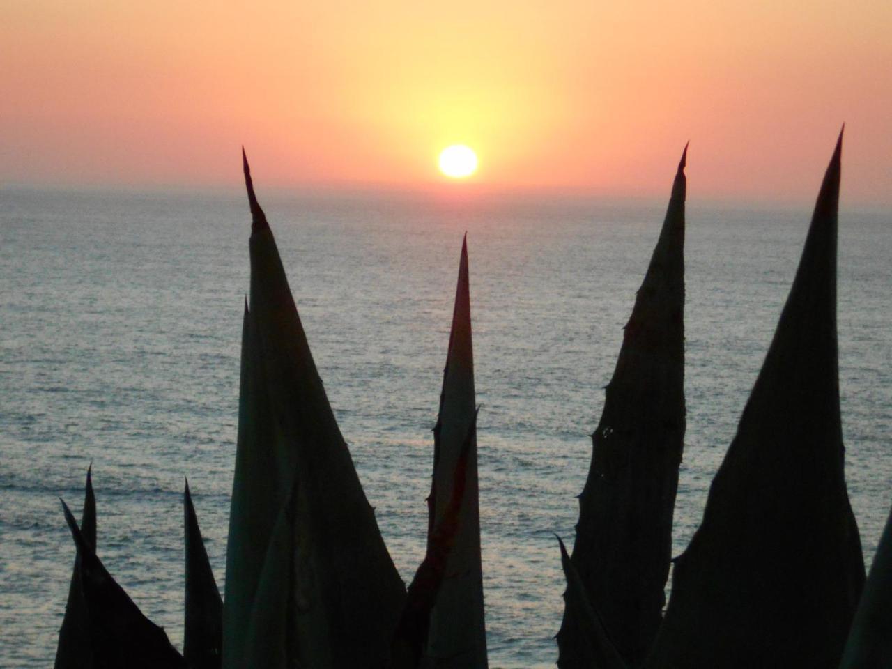 Hotel Sol Dourado Zambujeira do Mar Exterior foto